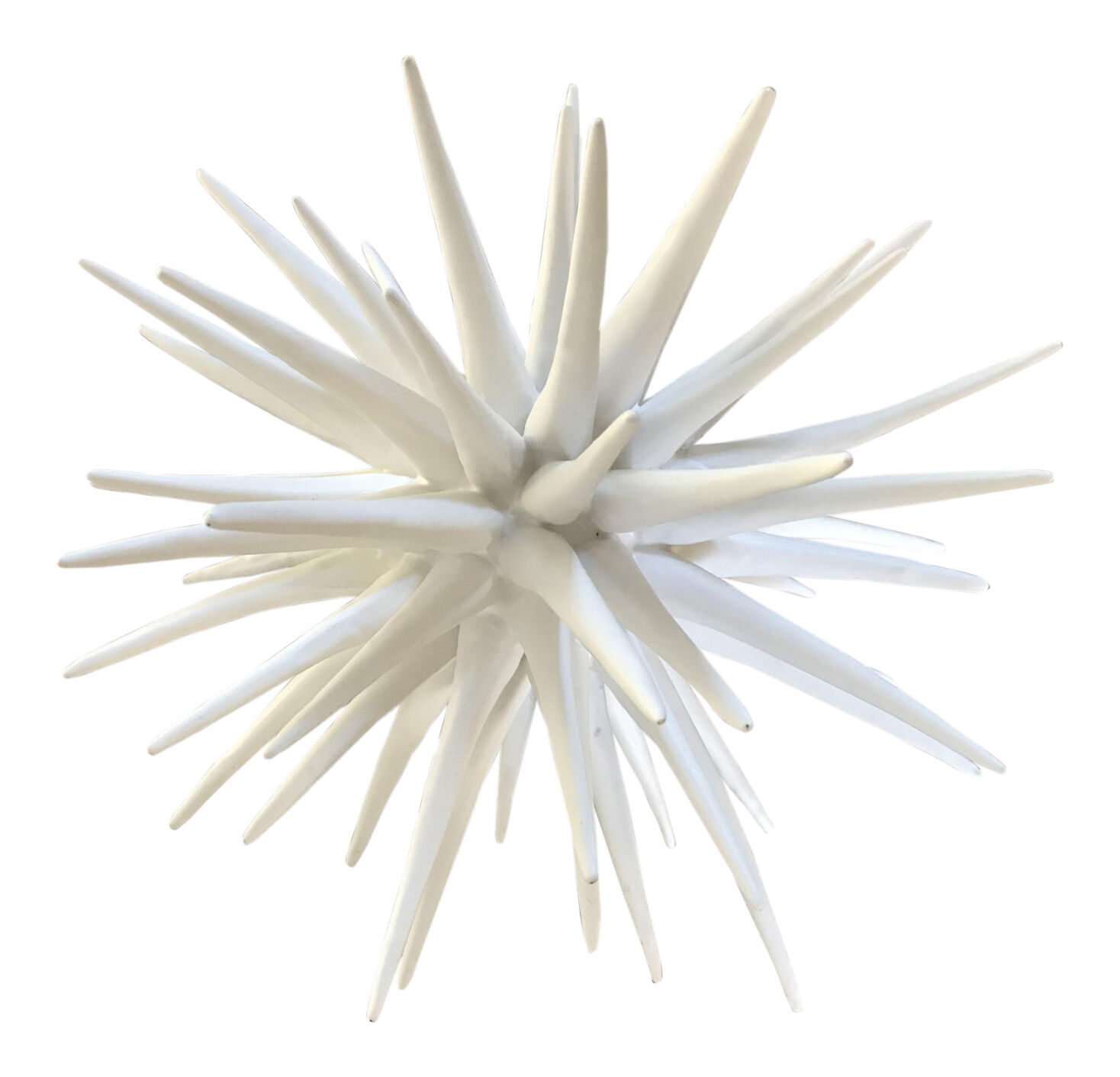 COOL SEA sea urchin villa vici.jpg